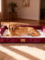 Ultimate Comfort for Your Furry Friend: PAWPUBBY Extra Large Orthopedic Memory Foam Dog Bed with Waterproof Bolster Couch