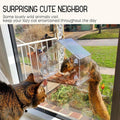 Window Bird Feeder for outside with Strong Suction Cups, Fits for Cardinals, Finches, Chickadees Etc.