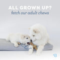 Puppy Classic Chew Collection (4-Pack)