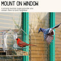 Window Bird Feeder for outside with Strong Suction Cups, Fits for Cardinals, Finches, Chickadees Etc.